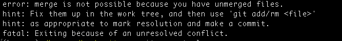 Screen shot of merge conflict error message.